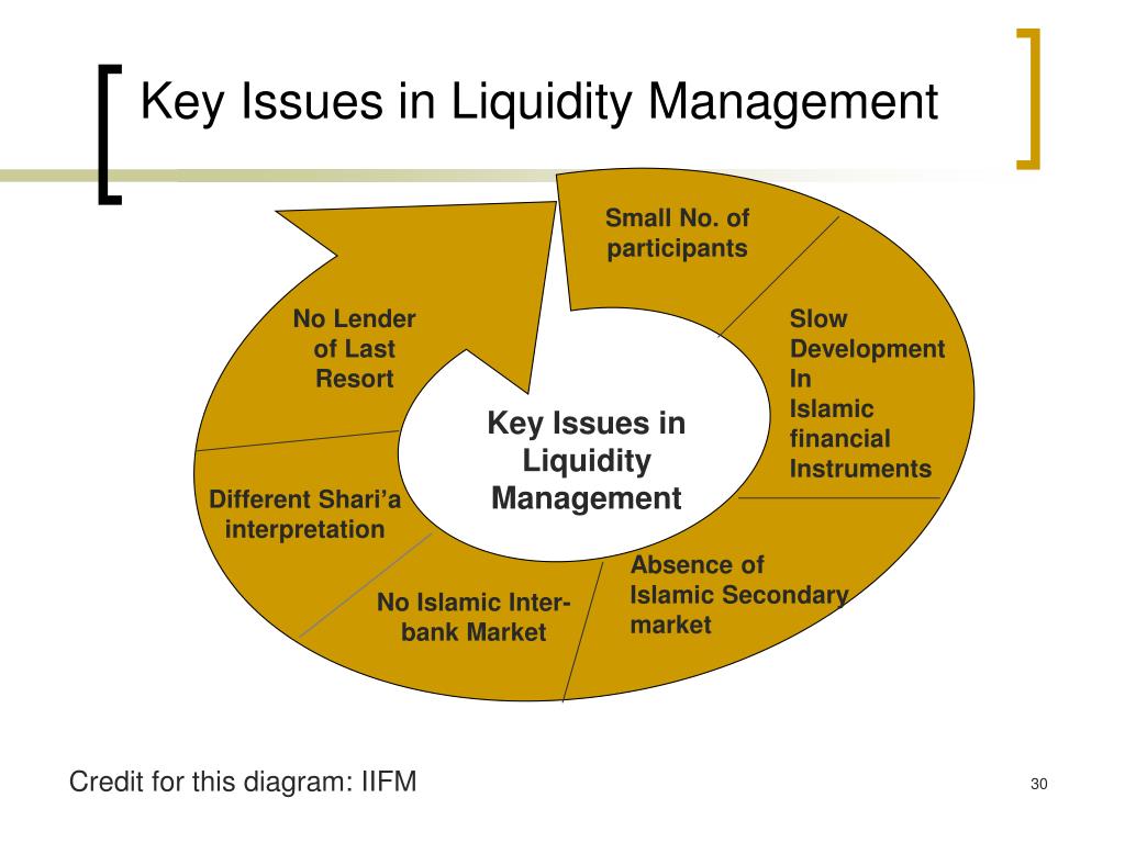 PPT LIQUIDITY RISK & LIQUIDITY MANAGEMENT PowerPoint Presentation