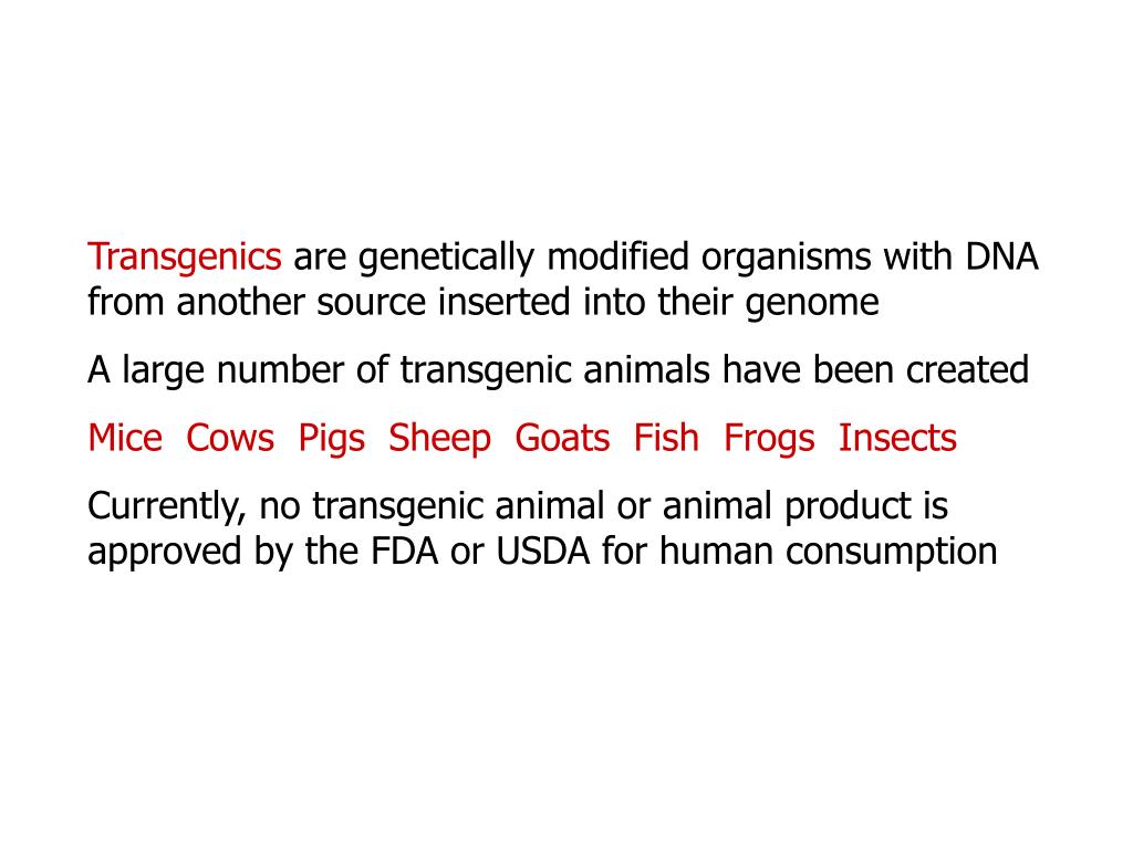 PPT Animal Biotechnology PowerPoint Presentation, free download ID