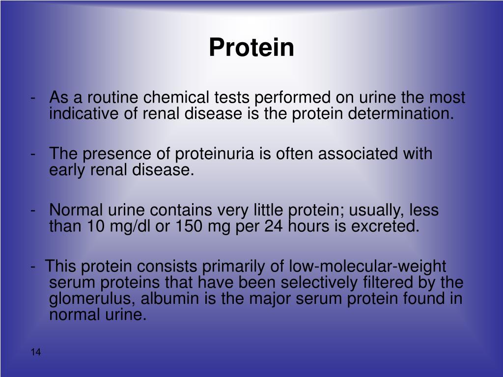 PPT URINALYSIS (MLT 305) LECTURE ONE PowerPoint Presentation ID236249