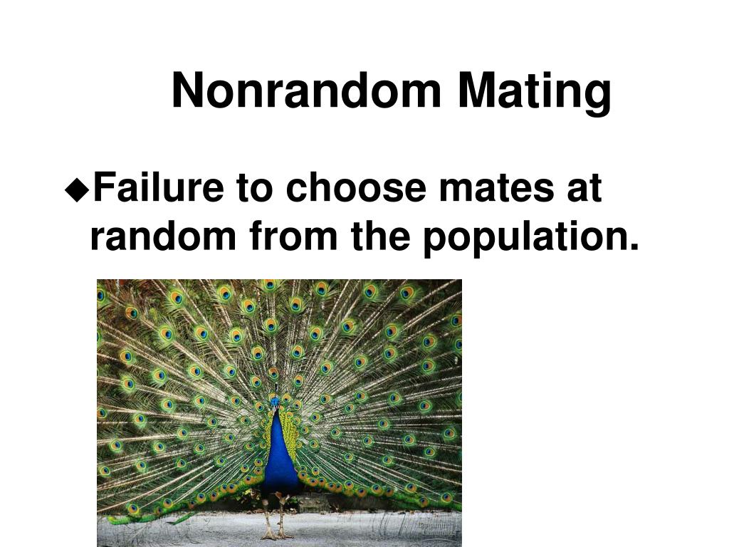 PPT Population PowerPoint Presentation, free download ID237116