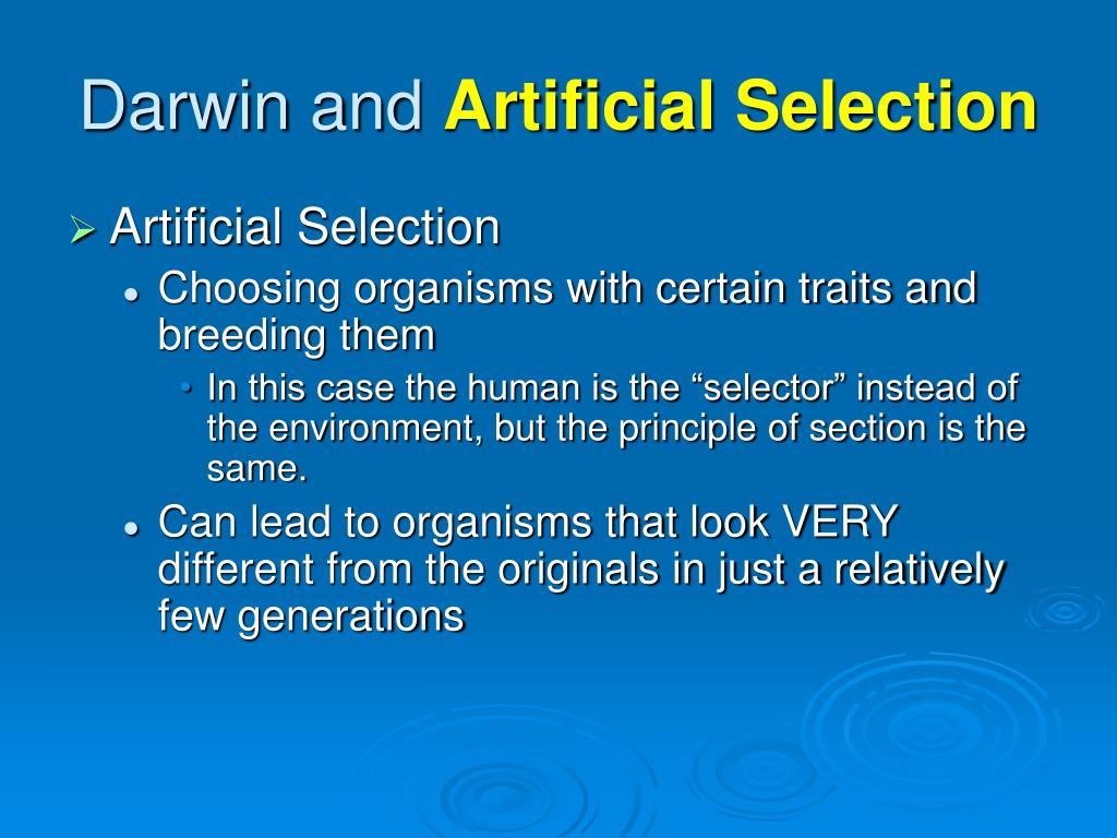 PPT Evolution How Change Occurs PowerPoint Presentation ID237777