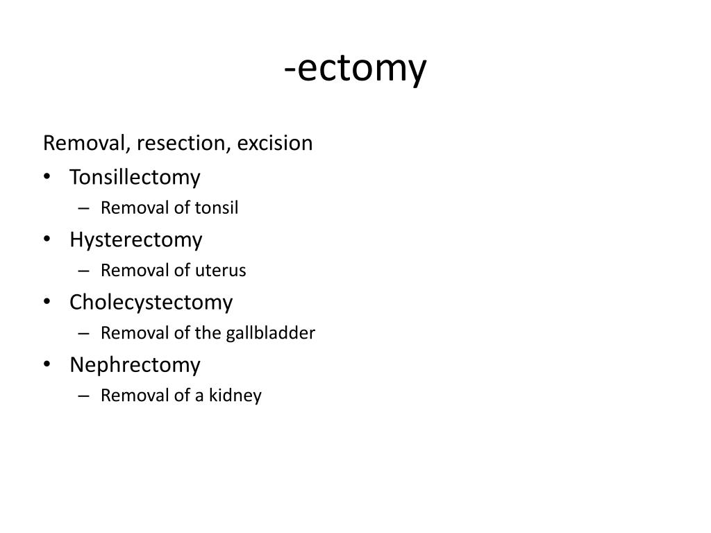 PPT Medical Terminology PowerPoint Presentation, free download ID