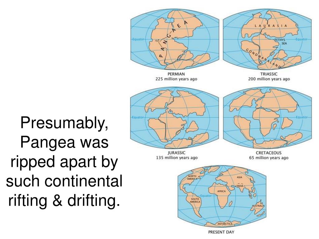 PPT Continental Drift The Theory PowerPoint Presentation, free