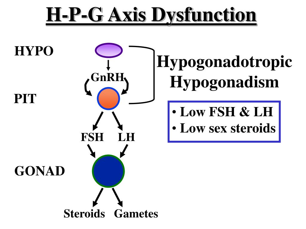 PPT of Hypogonadotropic Hypogonadism PowerPoint Presentation