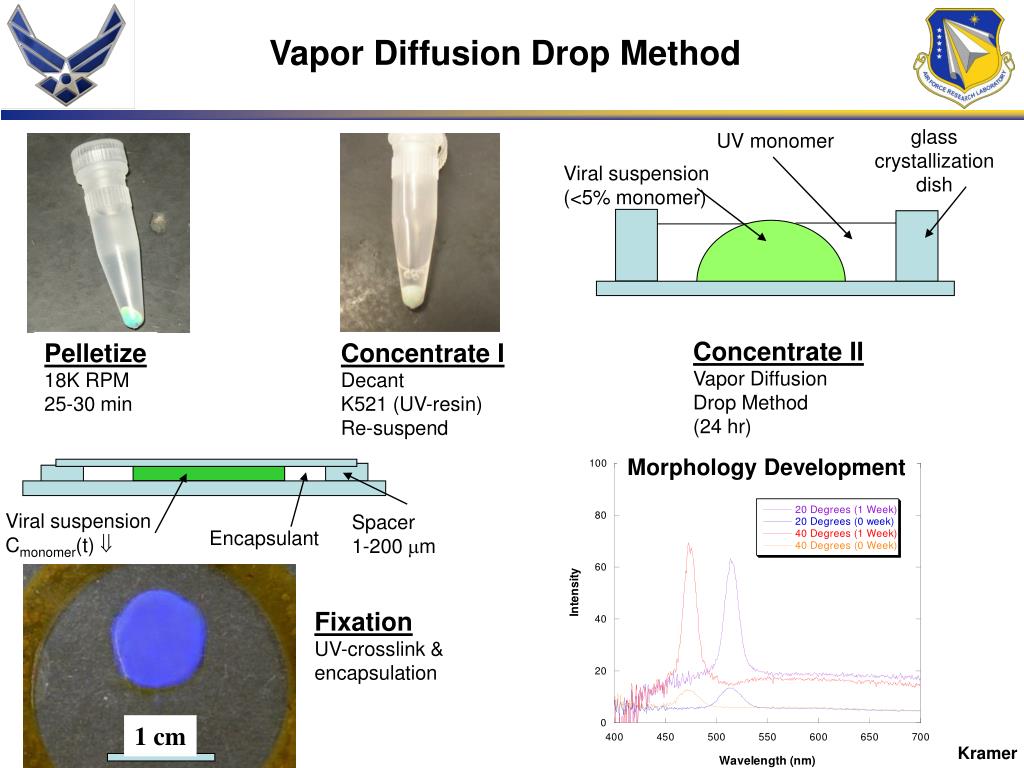PPT Vapor Diffusion Drop Method PowerPoint Presentation, free