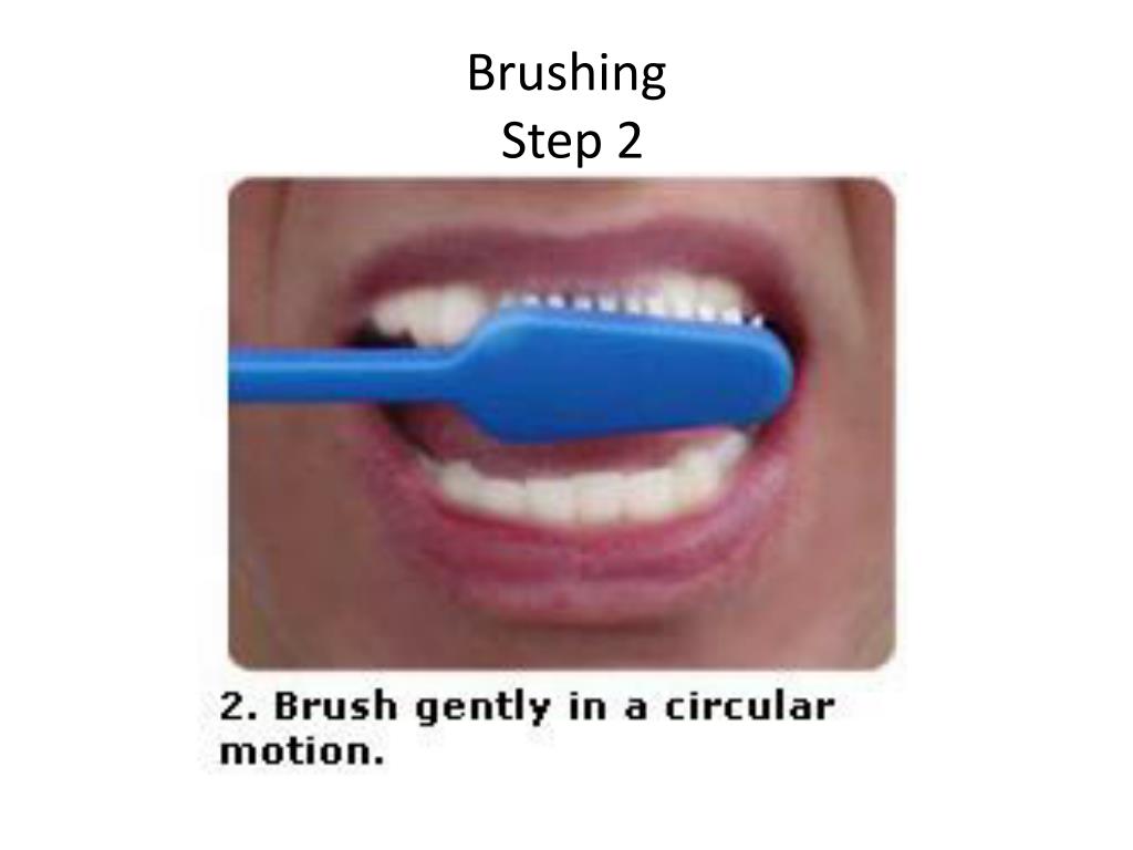 PPT How to Brush PowerPoint Presentation, free download ID24369