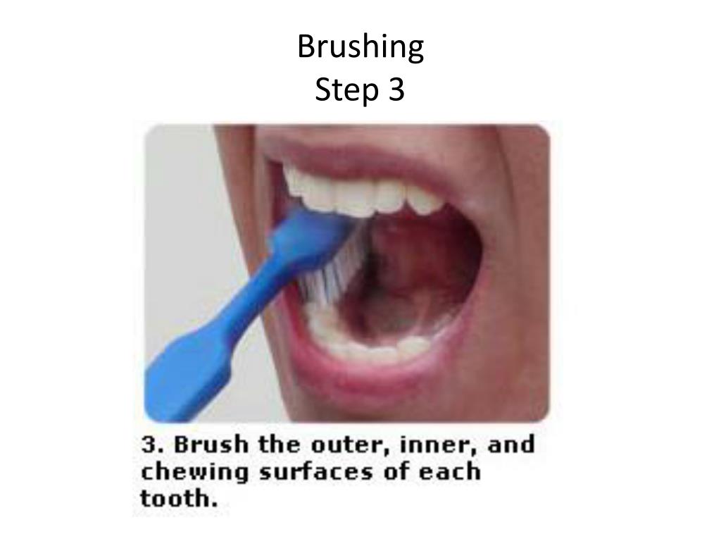 PPT How to Brush PowerPoint Presentation, free download ID24369