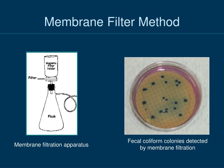 PPT Microbial Agents of Infectious Diseases PowerPoint Presentation