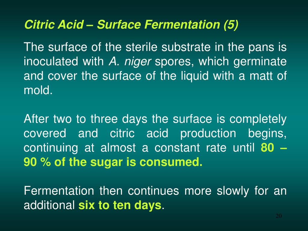 PPT H.K.U.S.T CENG 361 INTRODUCTION TO BIOCHEMICAL ENGINEERING AND BIOPROCESSSING PowerPoint