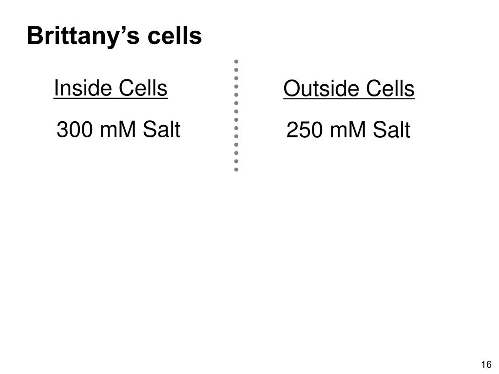 PPT Agony and Ecstasy Norris Armstrong University of