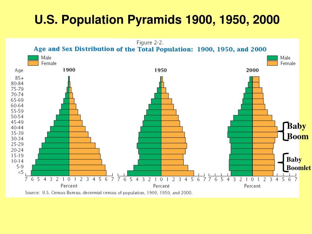 PPT Florida’s Demographic Trends… Present and Future PowerPoint