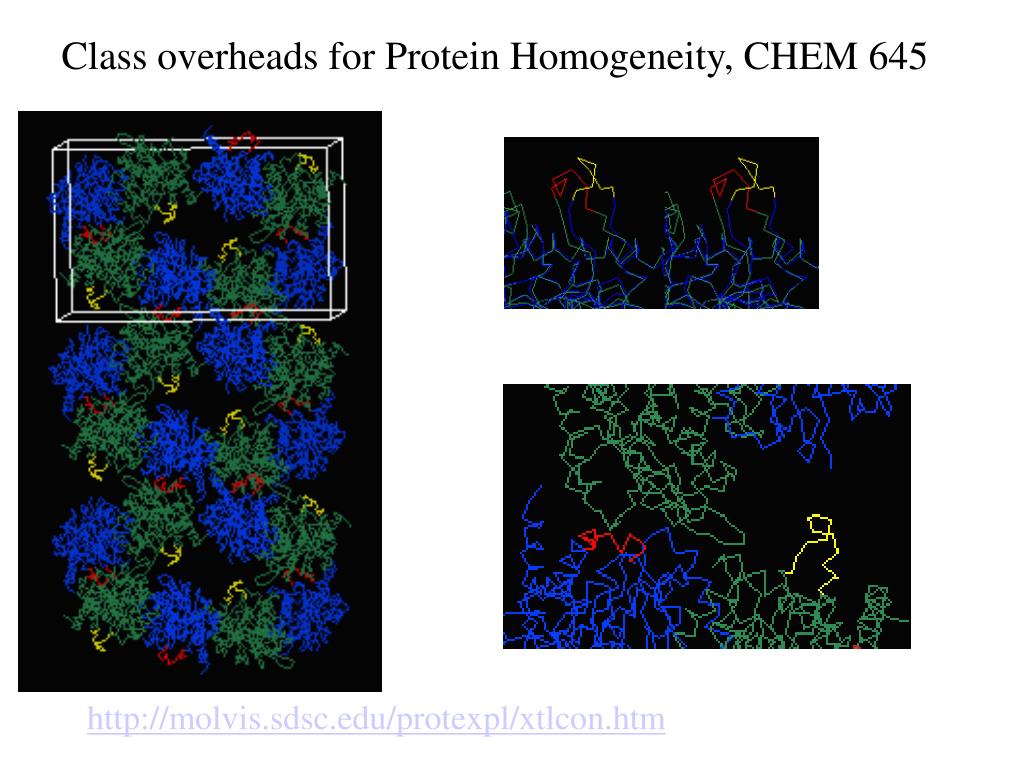 PPT Class overheads for Protein Homogeneity, CHEM 645 PowerPoint