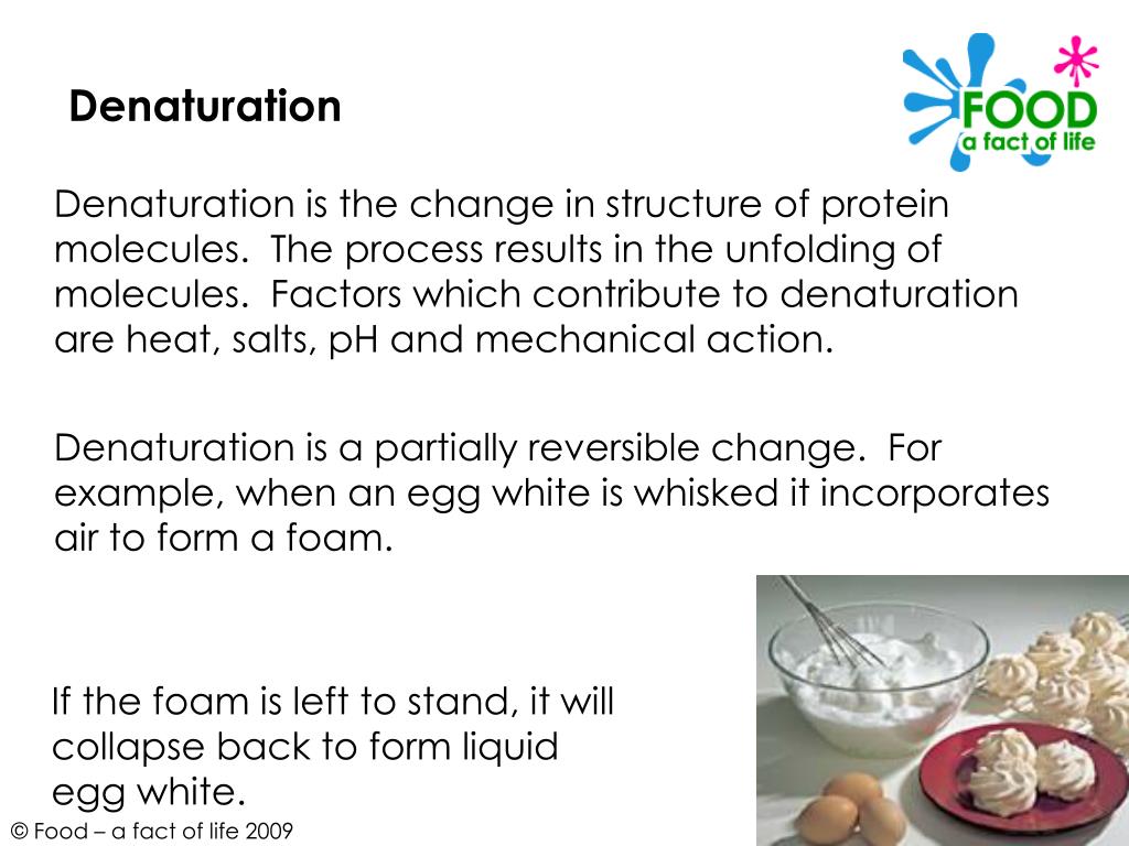 PPT Protein and its functional properties in food products PowerPoint