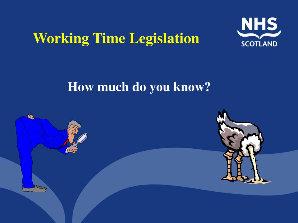 PPT Working Time Regulations Implications for the NHS PowerPoint