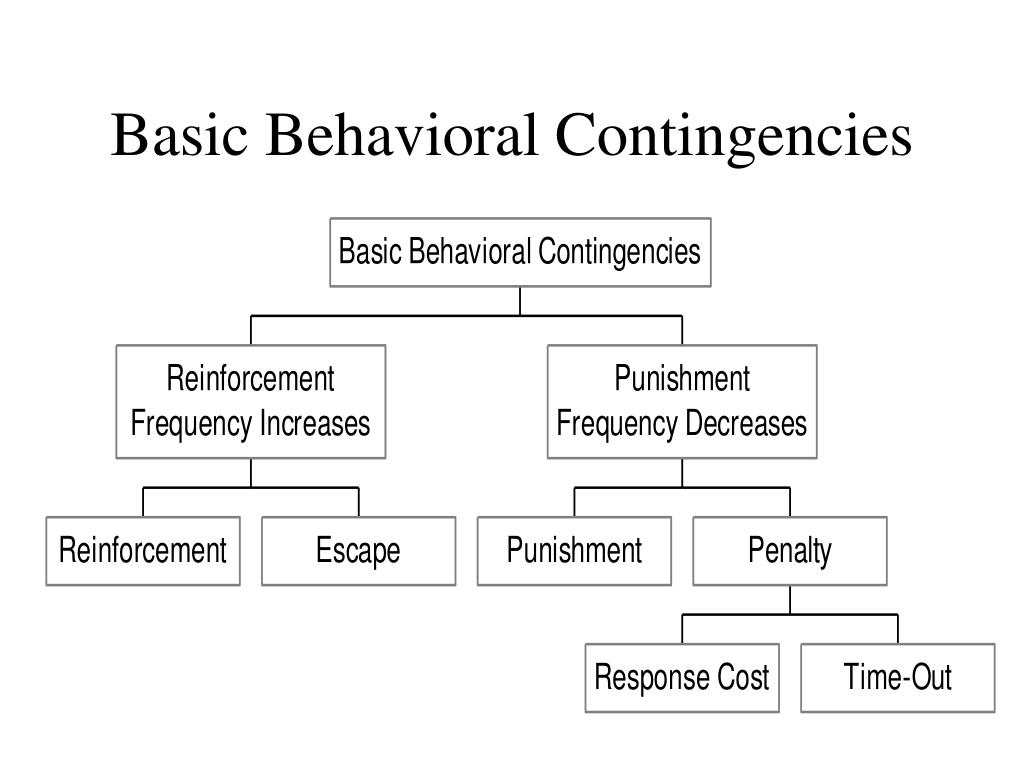 PPT Analogs to Reinforcement I PowerPoint Presentation, free