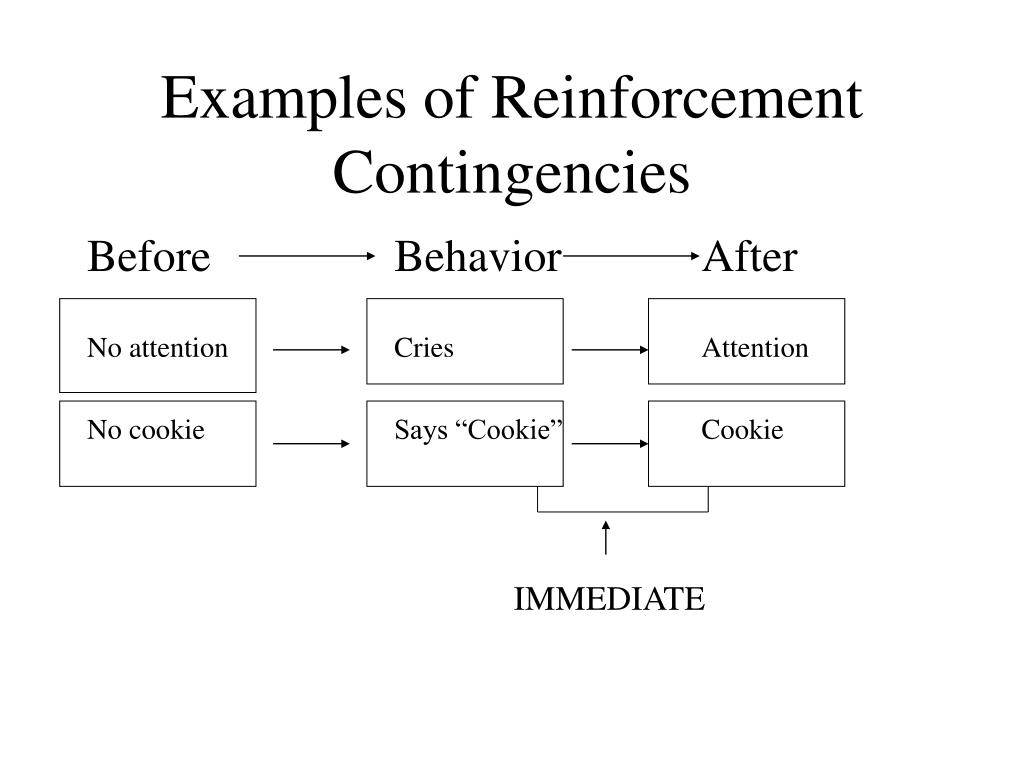 PPT Analogs to Reinforcement I PowerPoint Presentation, free
