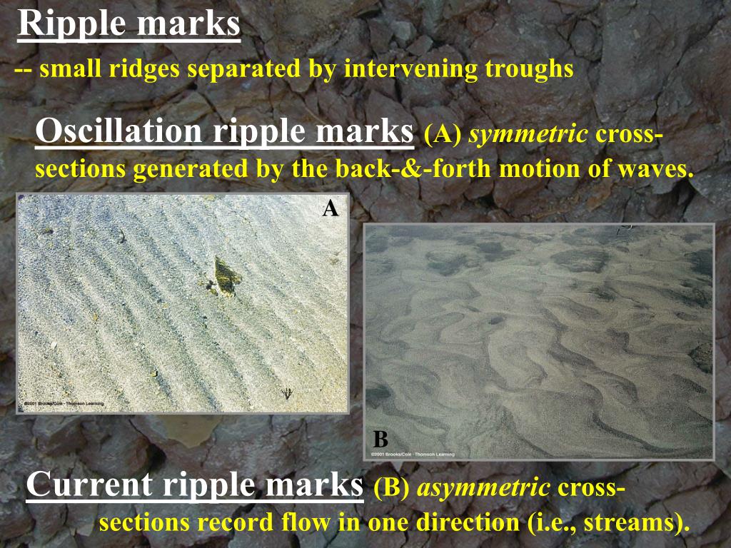 PPT Sedimentary Rocks PowerPoint Presentation, free download ID253482