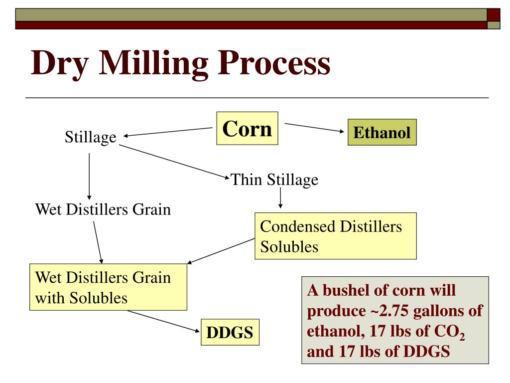 PPT Impact of Ethanol on the Hereford Industry PowerPoint
