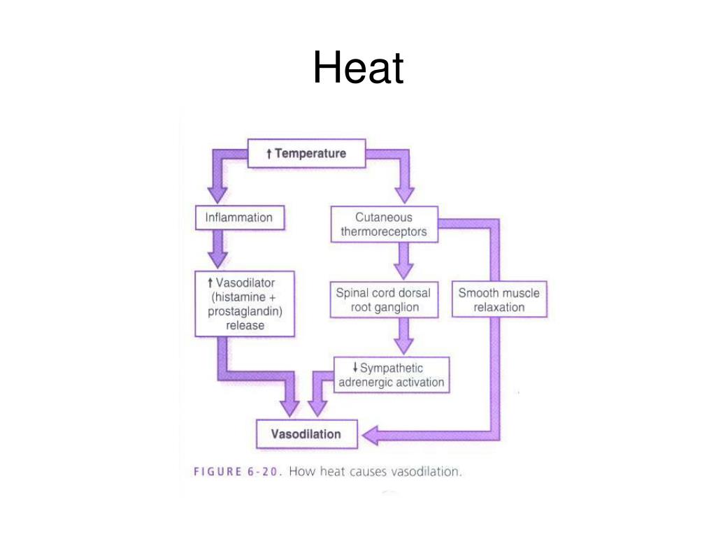 PPT Physical Agents utilized in Physical Medicine and Rehabilitation