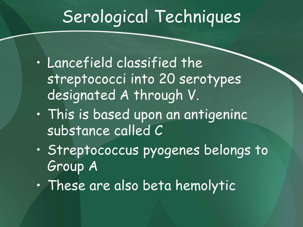 PPT Gram Positive Bacteria and Clinical Case Studies II PowerPoint