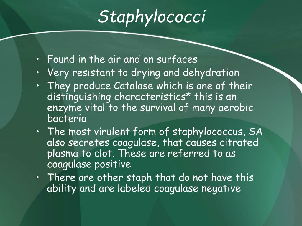 PPT Gram Positive Bacteria and Clinical Case Studies II