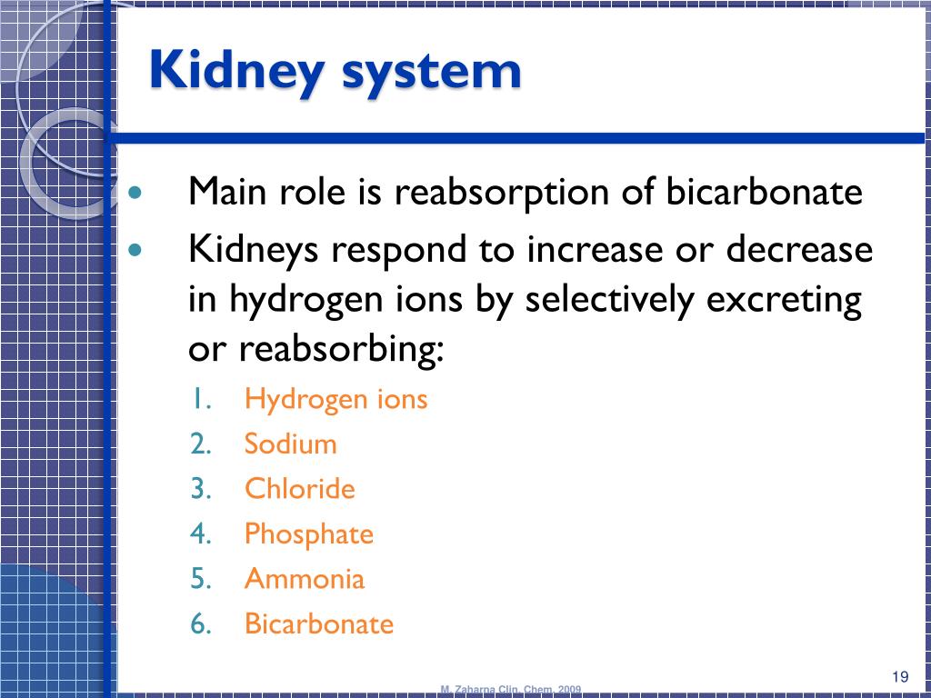 PPT Blood Gases, pH and Buffer system PowerPoint Presentation, free