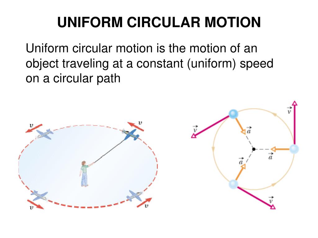 PPT Chapter 4 Motion in Two and Three Dimensions PowerPoint