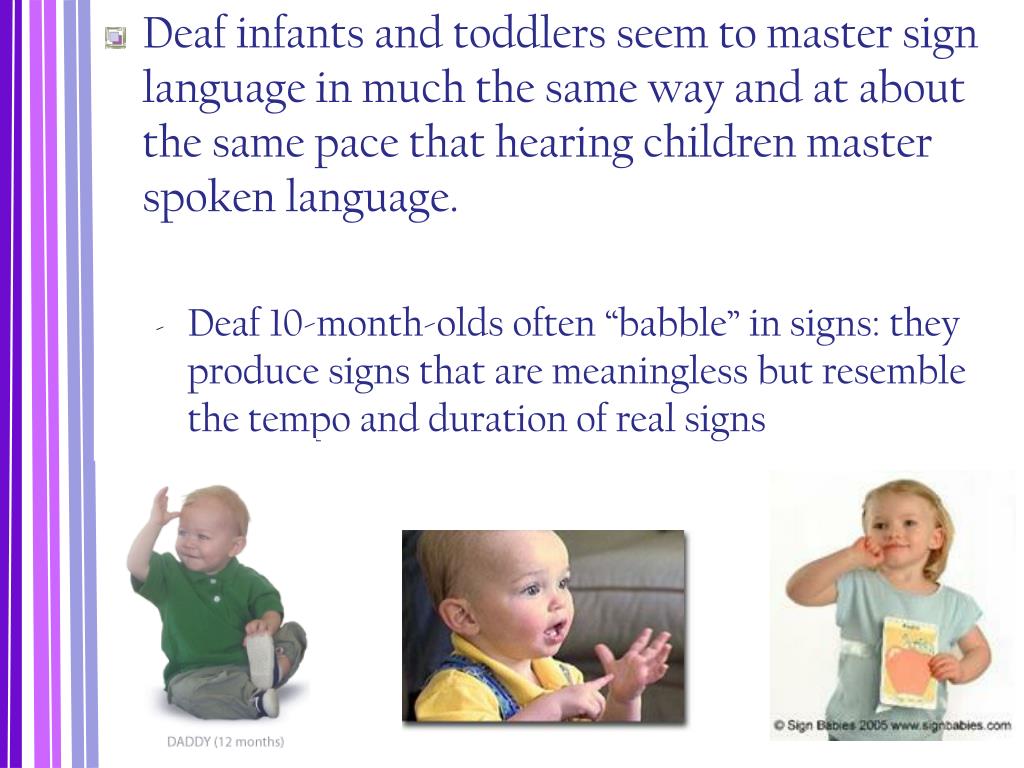 PPT The Development of Language PowerPoint Presentation, free