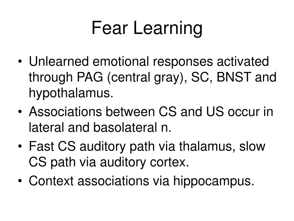 PPT Fear, Anxiety Disorders and Amygdala PowerPoint Presentation ID