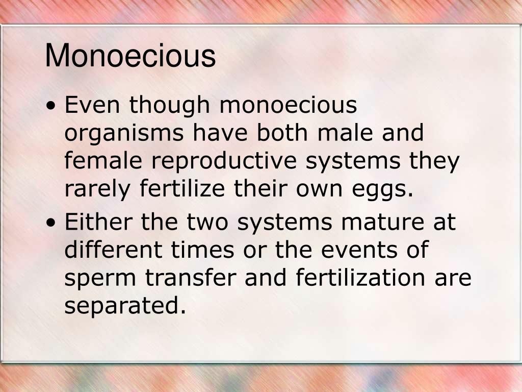 PPT Animal Reproduction PowerPoint Presentation, free download ID