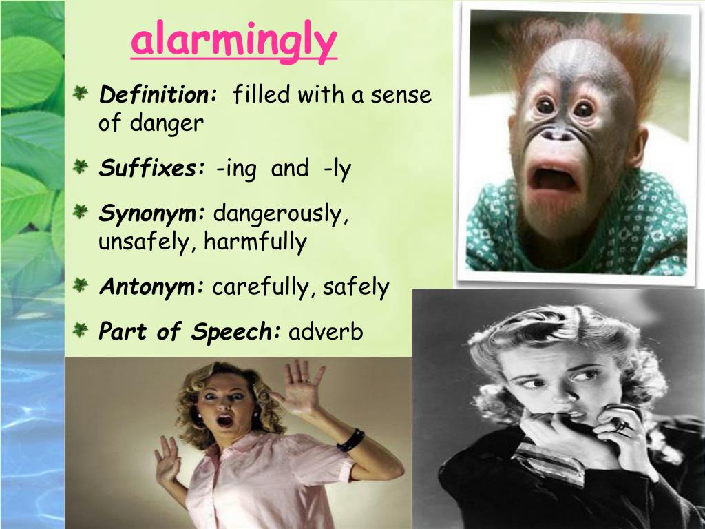 PPT Mrs. Frisby and the Crow Author Robert C. O’Brien Illustrator