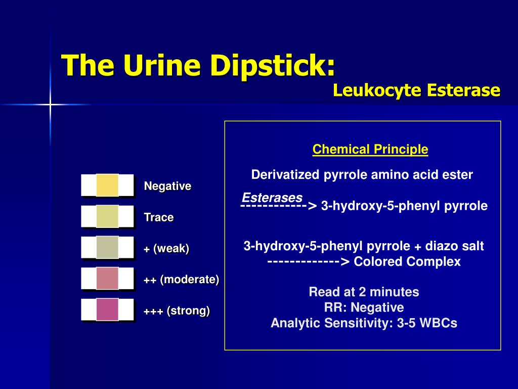 PPT Course IDPT 5005 School of Medicine, UCDHSC PowerPoint