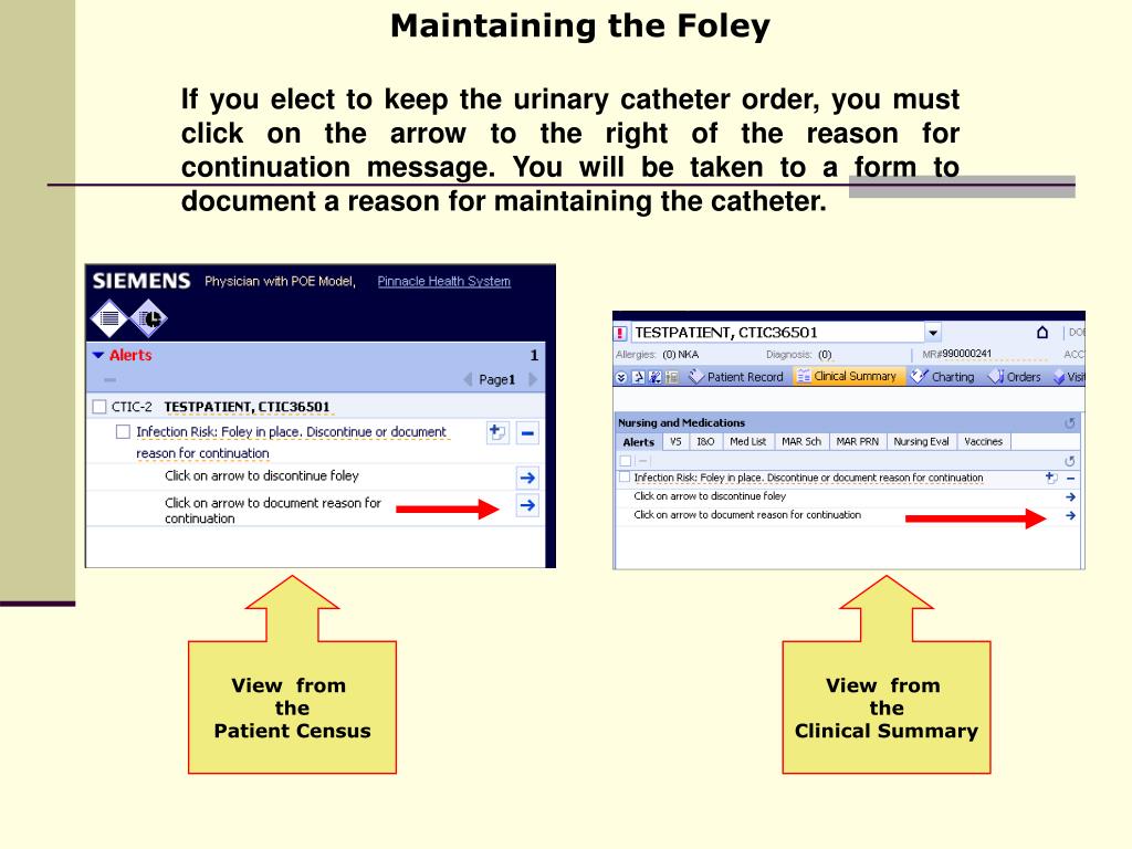 PPT Soarian Urinary Catheter Workflow PowerPoint Presentation ID263746