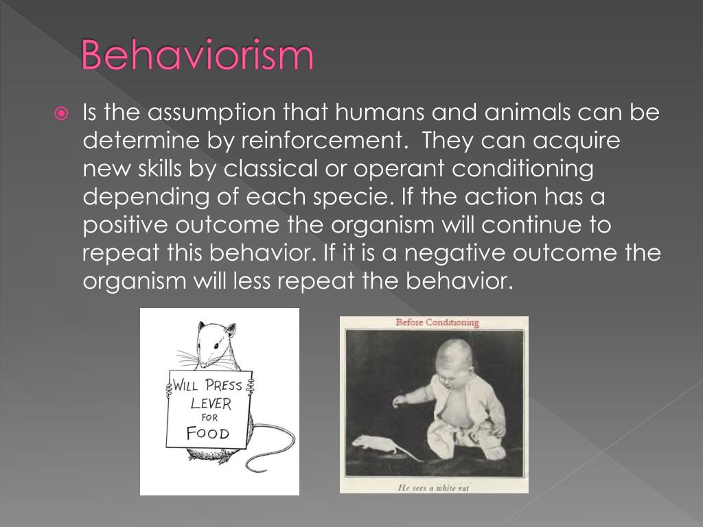 PPT B.F. Skinner Behaviorism PowerPoint Presentation, free download