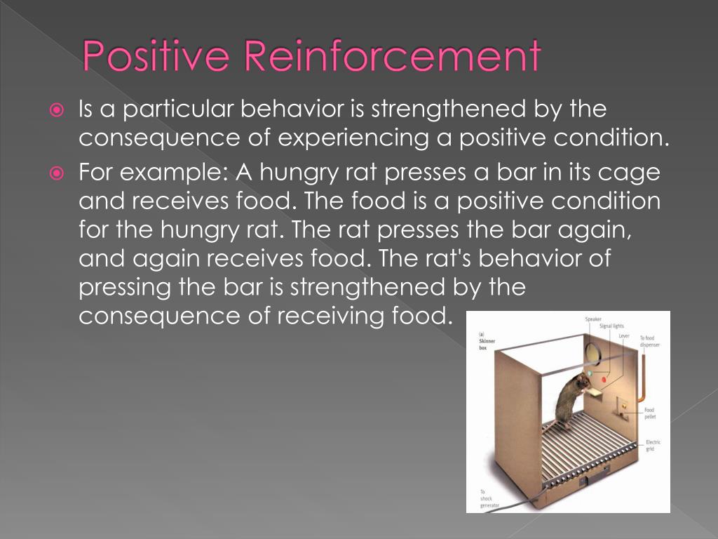 PPT B.F. Skinner Behaviorism PowerPoint Presentation, free download