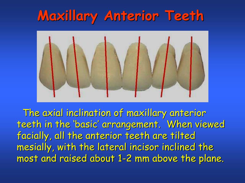 PPT Setting Anatomic Teeth PowerPoint Presentation, free download