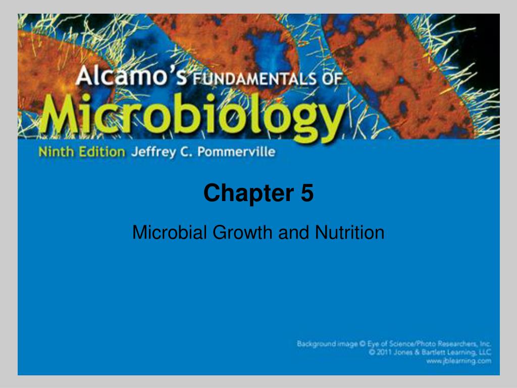 PPT How Do Bacteria Reproduce? PowerPoint Presentation