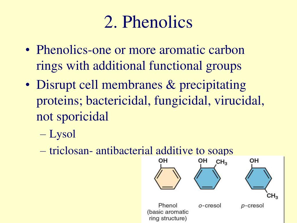 PPT Foundations in Microbiology PowerPoint Presentation, free