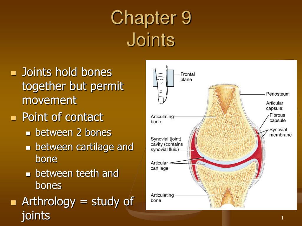 PPT Chapter 9 Joints PowerPoint Presentation, free download ID266616