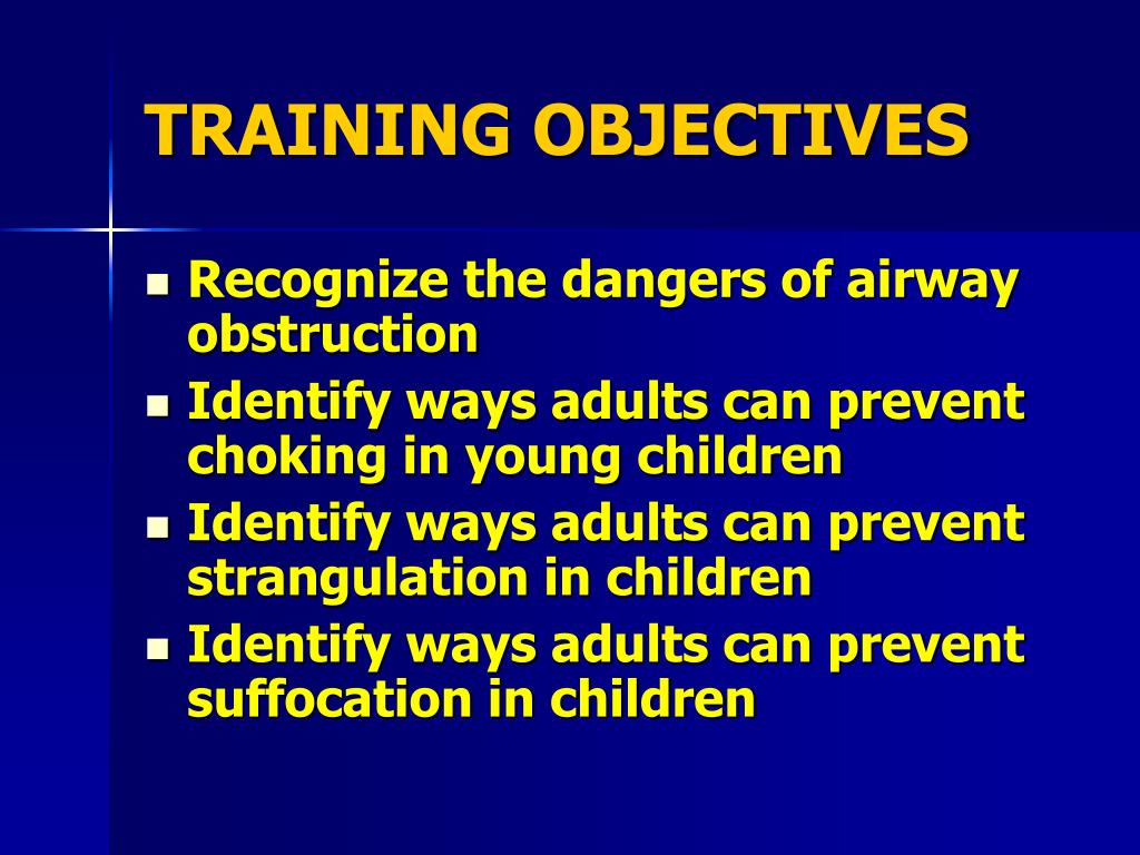 Training Training Objectives