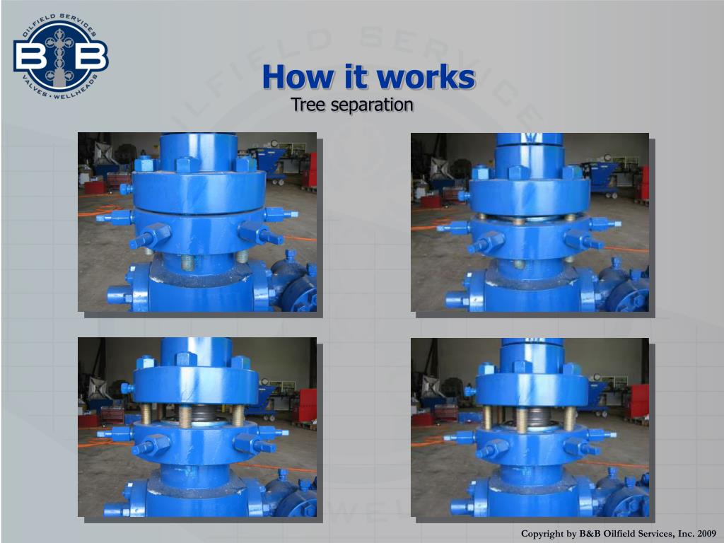 PPT Tree Jack PowerPoint Presentation, free download ID266713