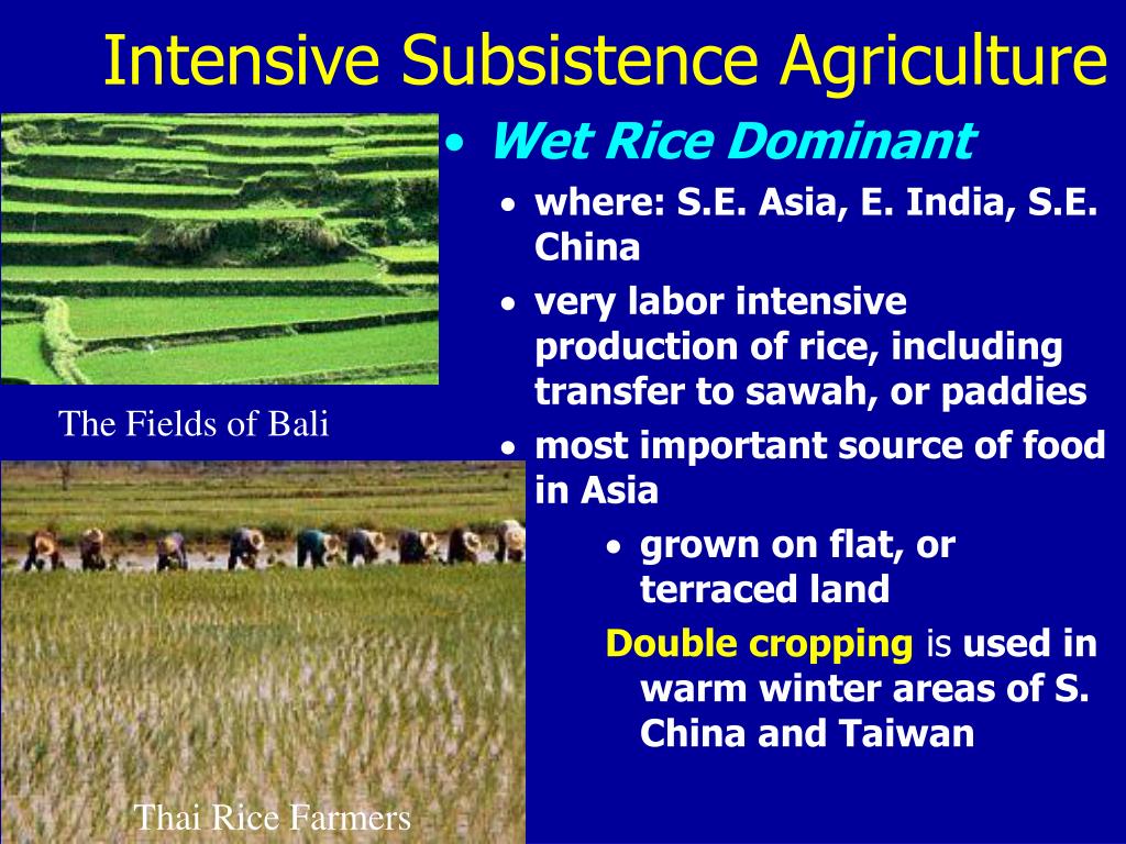 PPT The Geography of Agriculture PowerPoint Presentation, free