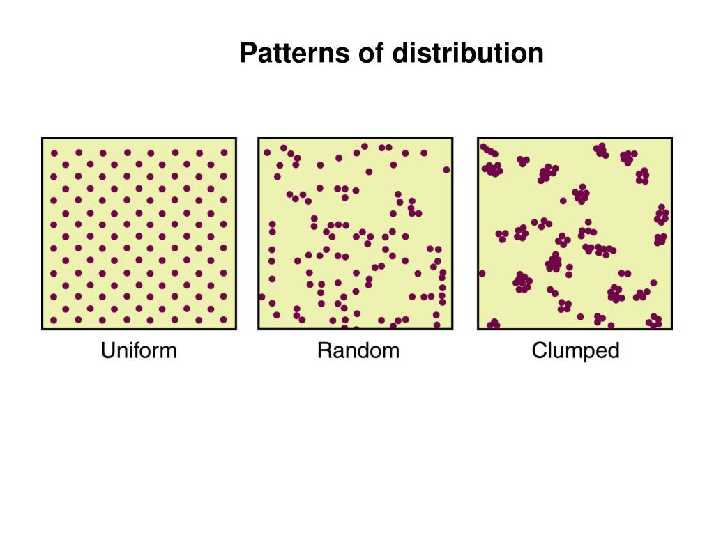 PPT Population Ecology 1 PowerPoint Presentation, free download ID