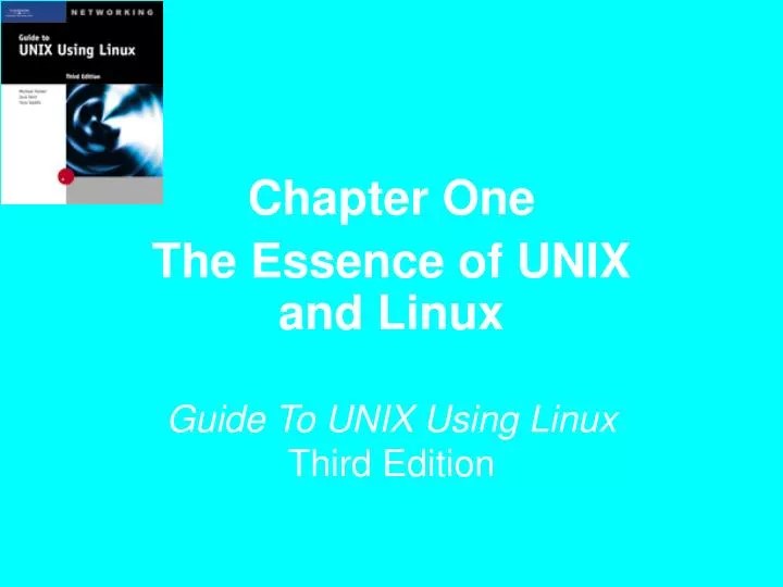 The Best Guide To Unix Using Linux Chapter 7 Review Questions References