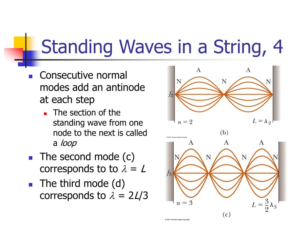 PPT Chapter 18 PowerPoint Presentation, free download ID268115