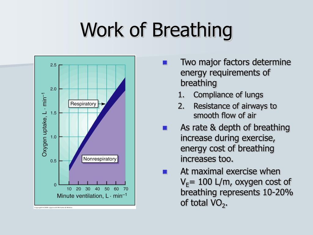 PPT Pulmonary Ventilation during Exercise PowerPoint Presentation