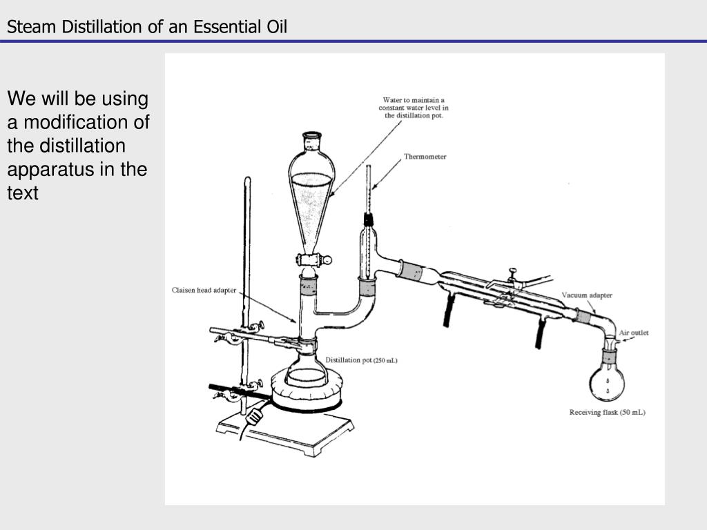 PPT Steam Distillation Oil of Cloves ORG I LABORATORY PRE LAB