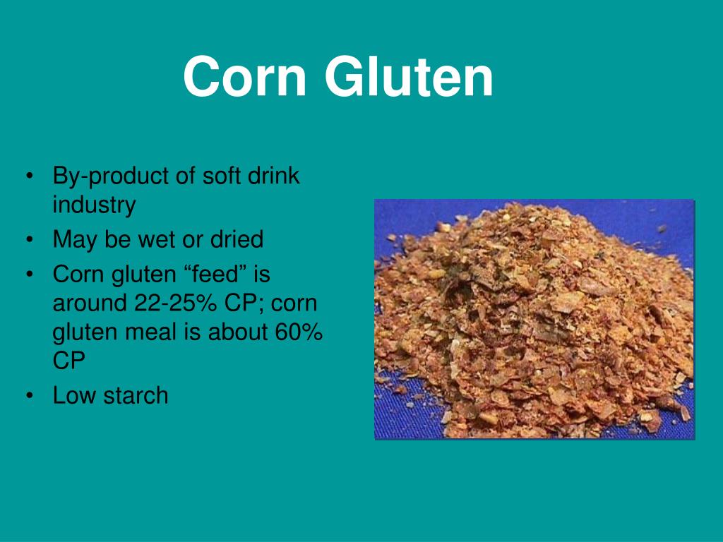 PPT Commodity Feeds PowerPoint Presentation, free download ID270138