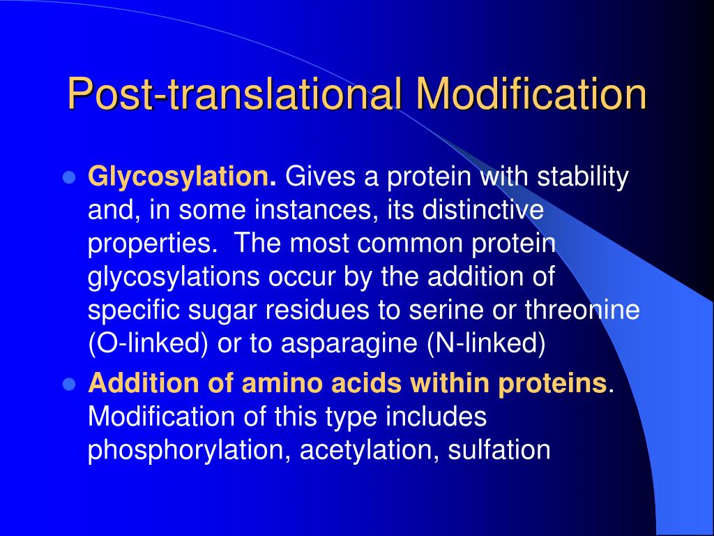 PPT protein production in Eukaryotic cells PowerPoint