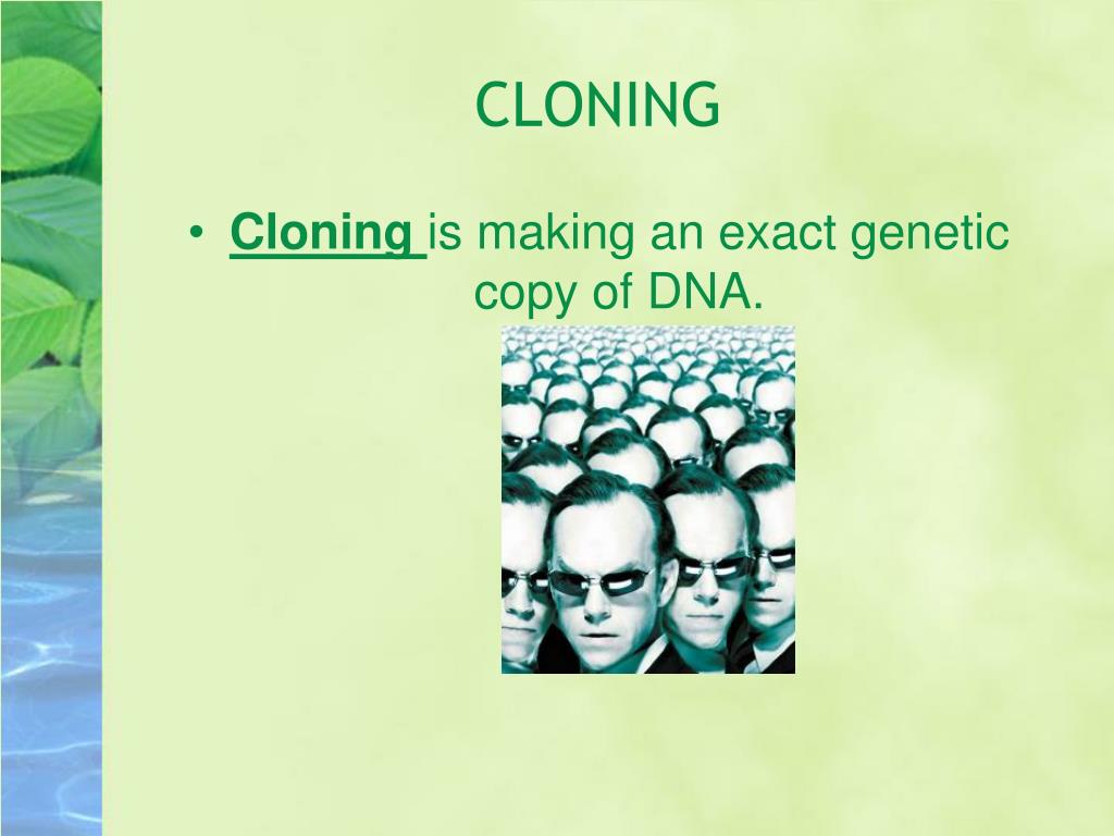 PPT DNA PowerPoint Presentation, free download ID272650